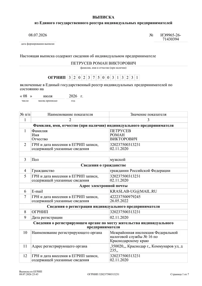 Превью документа: Выписка из ЕГРИП